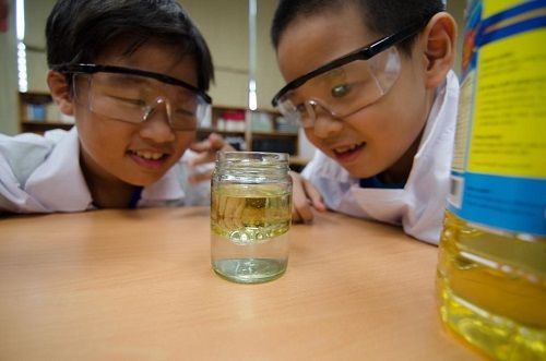 Tiêu diệt gốc rễ rào cản khi học tiếng Anh