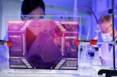 Học bổng Entomology dành cho bậc thạc sĩ, 2017