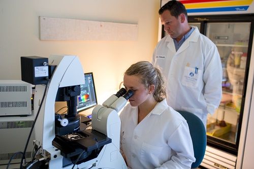 Học bổng tiến sĩ tại Trường Nghiên cứu Sinh học Hoá học Konstanz