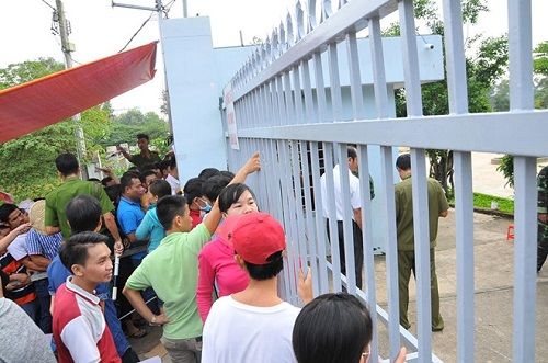 Thức đêm xếp hàng nộp hồ sơ lớp 1 cho con 