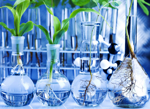 Chia sẻ mẹo, lưu ý để đạt điểm cao môn Hóa