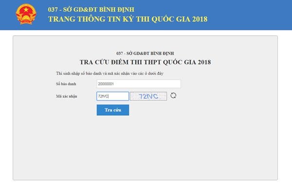 Xem, tra cứu điểm thi THPT Quốc gia năm 2018 của Bình Định - Ảnh 1