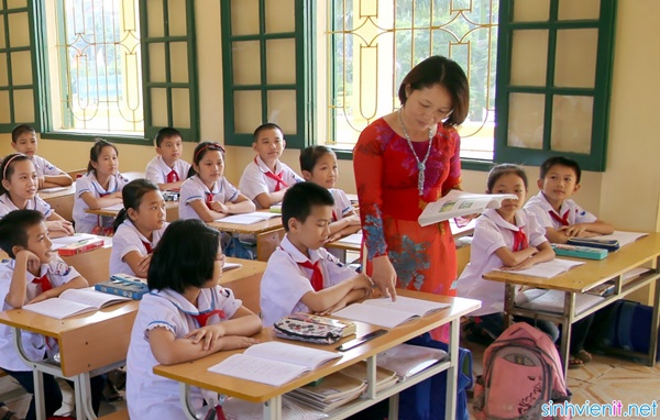 Thiếu hơn 2.500 giáo viên sau khi dừng hợp đồng lao động với gần 2.000 người Thiếu hơn 2.500 giáo viên sau khi dừng hợp đồng lao động với gần 2.000 người