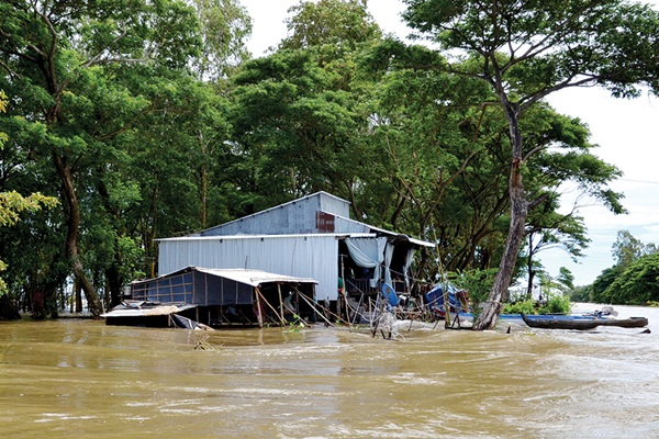 Bộ GD&ĐT cho phép học sinh tại khu vực rốn lũ Miền Tây nghỉ học - Ảnh 2