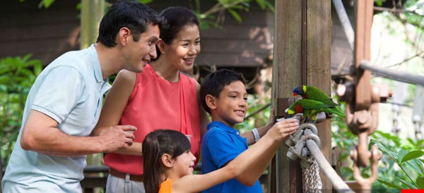 Du học hè ở Singapore cho trẻ em - xu hướng của thế kỉ 21 Du học hè ở Singapore cho trẻ em - xu hướng của thế kỉ 21