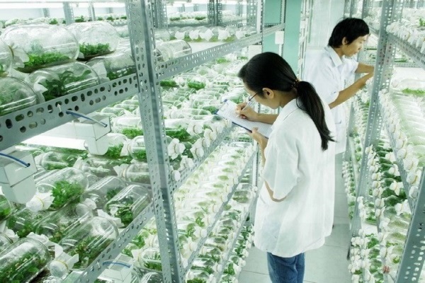 Có nên du học Singapore ngành Công nghệ sinh học? - Ảnh 1