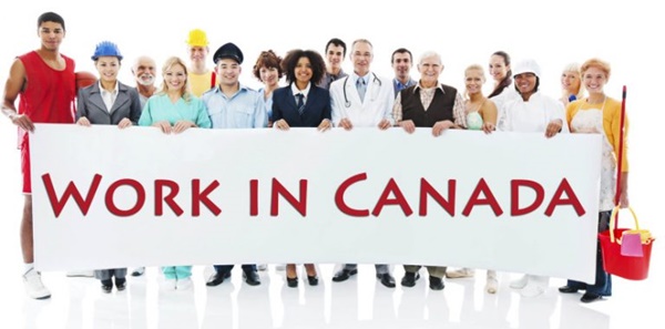 Ngành nghề nào được ưu tiên định cư tại Canada năm 2018? Ngành nghề nào được ưu tiên định cư tại Canada năm 2018?
