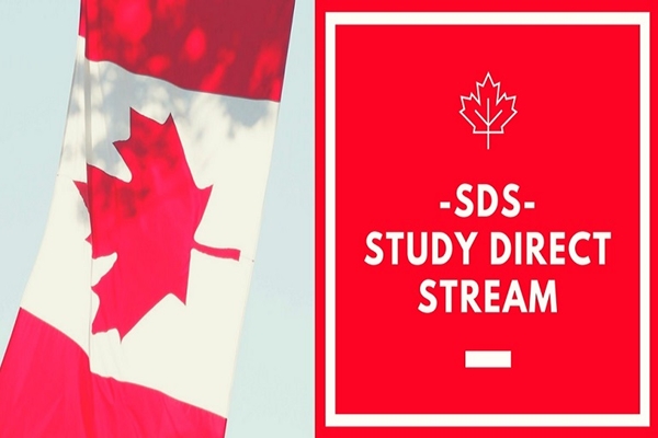 Những ngành học dễ xin việc tại Canada mà du học sinh Việt Nam nên biết - Ảnh 1