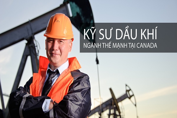 Những ngành học hot tại Canada trong năm 2018 - Ảnh 5