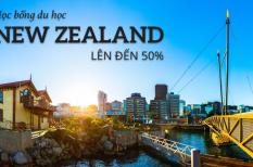 Học bổng du học New Zealand - Cơ hội du học cho bạn