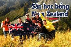 Học bổng du học New Zealand  hấp dẫn trị giá 10,000 NZD