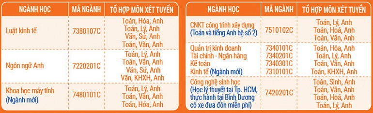 Đại học Mở TPHCM tuyển sinh thêm 4 ngành mới trong năm 2019 - Ảnh 4