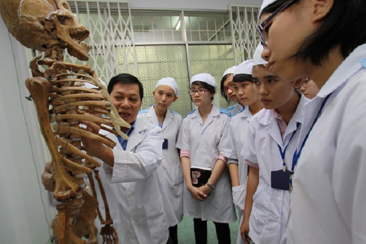 Trường ĐH Y khoa Phạm Ngọc Thạch tuyển 800 chỉ tiêu ngành y khoa Trường ĐH Y khoa Phạm Ngọc Thạch tuyển 800 chỉ tiêu ngành y khoa