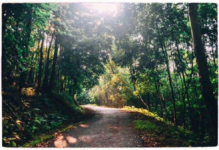 Tuyển sinh 2019: ĐH Lâm Nghiệp tăng chỉ tiêu, mở ngành học mới Tuyển sinh 2019: ĐH Lâm Nghiệp tăng chỉ tiêu, mở ngành học mới