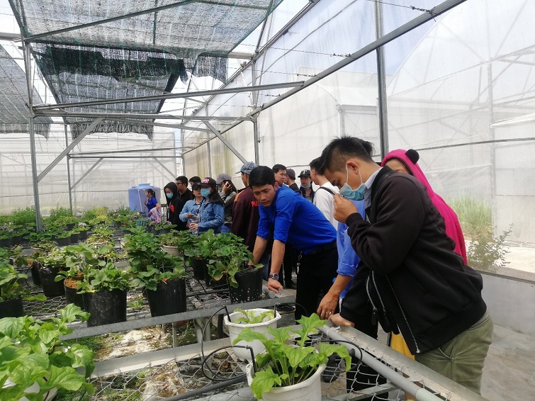 nông nghiệp gồm những ngành nào