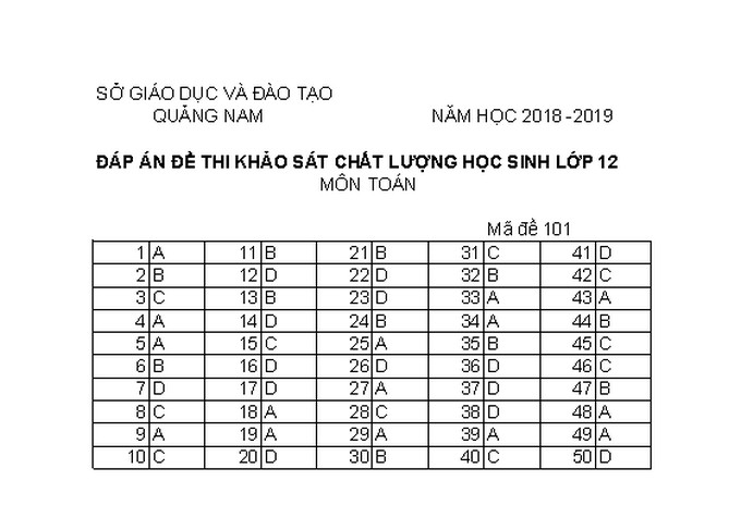 Thi thử THPT quốc gia: Đề thi thử và đáp án môn Toán ở Quảng Nam - Ảnh 5