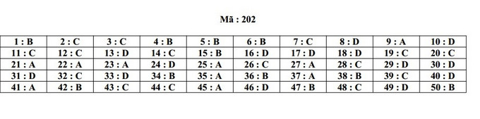Thi thử THPT 2019: Đề thi thử và đáp án môn Toán ở Đà Nẵng - Ảnh 4