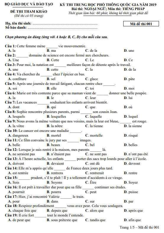Đề thi tham khảo tiếng Pháp THPT quốc gia 2019 - Ảnh 1