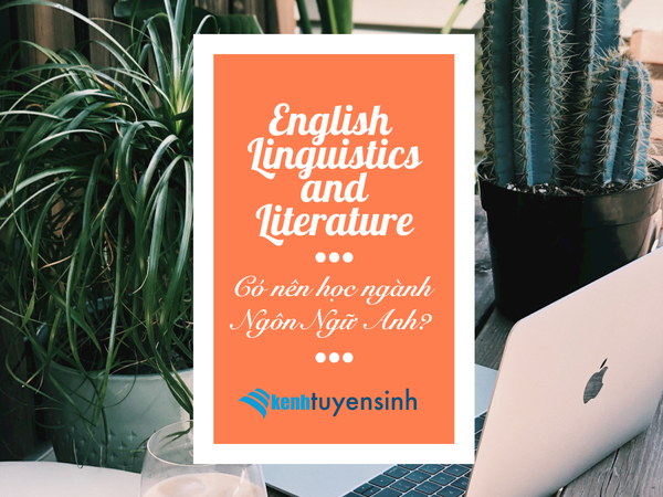 Tư vấn có nên học ngành ngôn ngữ Anh hay không? - Ảnh 1
