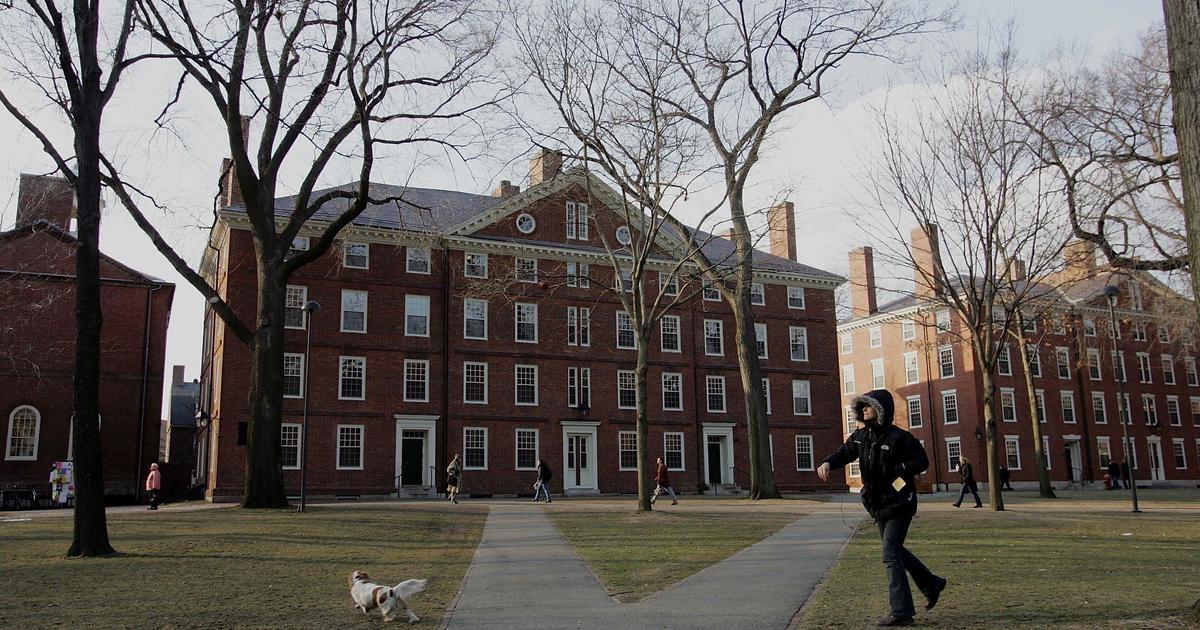 Du học sinh có thể phải rời Mỹ nếu chương trình học là 100% online - Ảnh 2