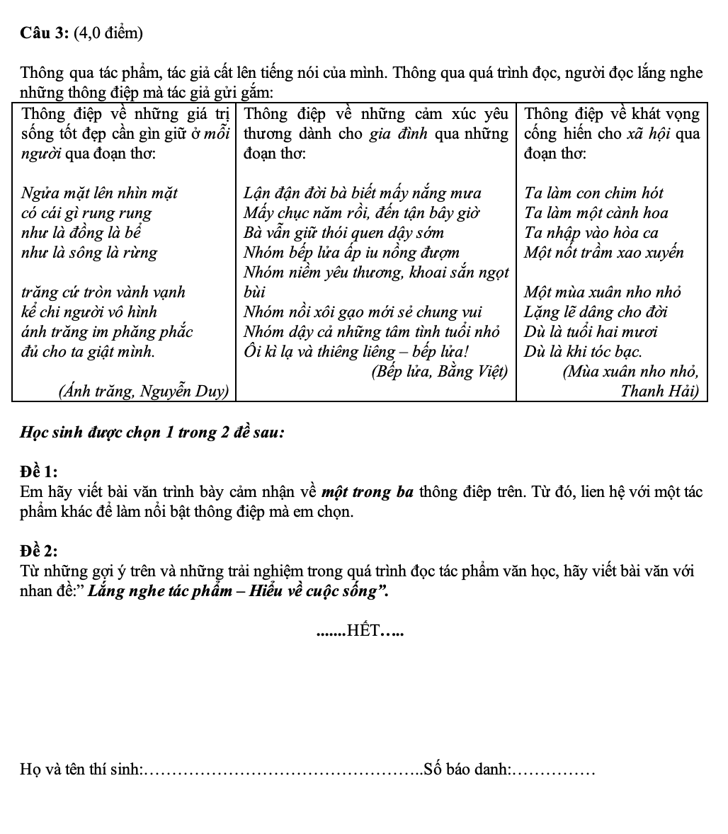 Đáp án thi tuyển sinh lớp 10 môn Ngữ Văn tại TP.HCM - Ảnh 2