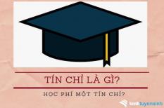 Tín chỉ đại học là gì và học phí tín chỉ là bao nhiêu?