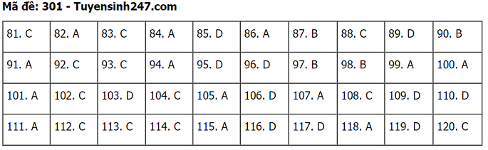 Đáp án 6 môn thi tổ hợp Khoa học tự nhiên & Khoa học xã hội - Ảnh 3