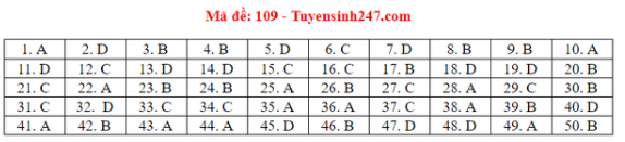 Đáp án gợi ý 24 mã đề thi môn Toán tốt nghiệp THPT 2020 - Ảnh 5
