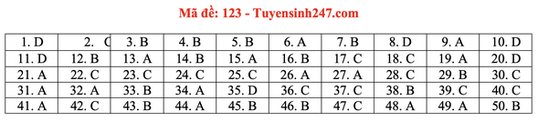 Đáp án gợi ý 24 mã đề thi môn Toán tốt nghiệp THPT 2020 - Ảnh 19