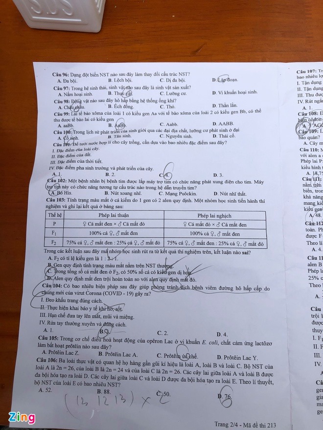 Đề thi & Đáp án môn Sinh Học THPT quốc gia 2020 - Ảnh 3