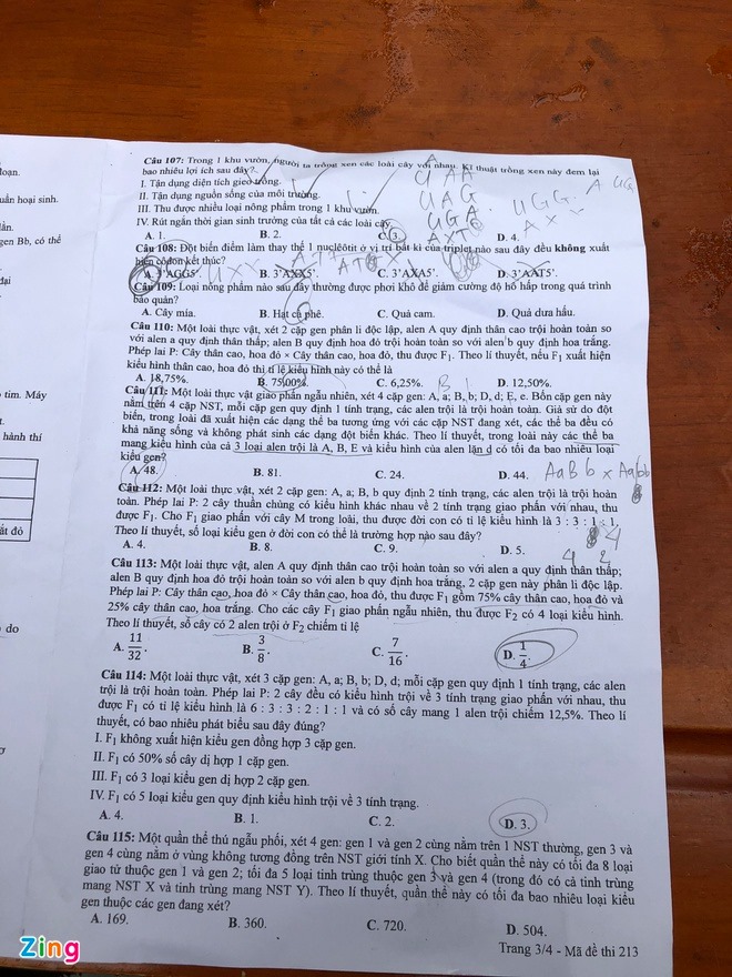Đề thi & Đáp án môn Sinh Học THPT quốc gia 2020 - Ảnh 4