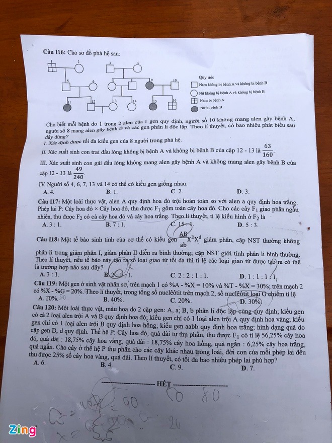 Đề thi & Đáp án môn Sinh Học THPT quốc gia 2020 - Ảnh 5