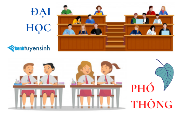 Sự khác biệt giữa học đại học và học phổ thông  - Ảnh 4