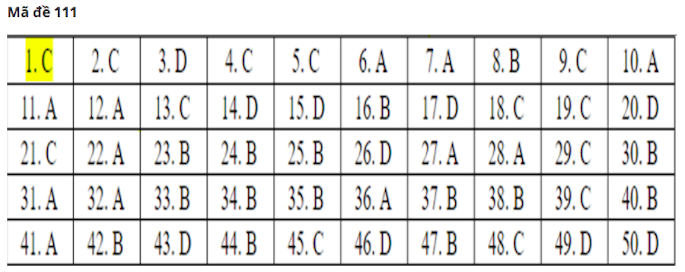 Đáp án gợi ý 24 mã đề thi môn Toán tốt nghiệp THPT 2020 - Ảnh 7