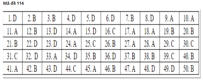 Đáp án gợi ý 24 mã đề thi môn Toán tốt nghiệp THPT 2020 - Ảnh 10