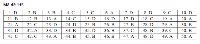 Đáp án gợi ý 24 mã đề thi môn Toán tốt nghiệp THPT 2020 - Ảnh 11