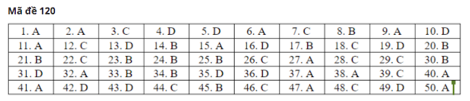 Đáp án gợi ý 24 mã đề thi môn Toán tốt nghiệp THPT 2020 - Ảnh 16
