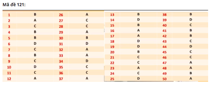 Đáp án gợi ý 24 mã đề thi môn Toán tốt nghiệp THPT 2020 - Ảnh 17