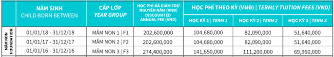 Học phí 10 trường mầm non quốc tế uy tín tại TP.HCM - Ảnh 15