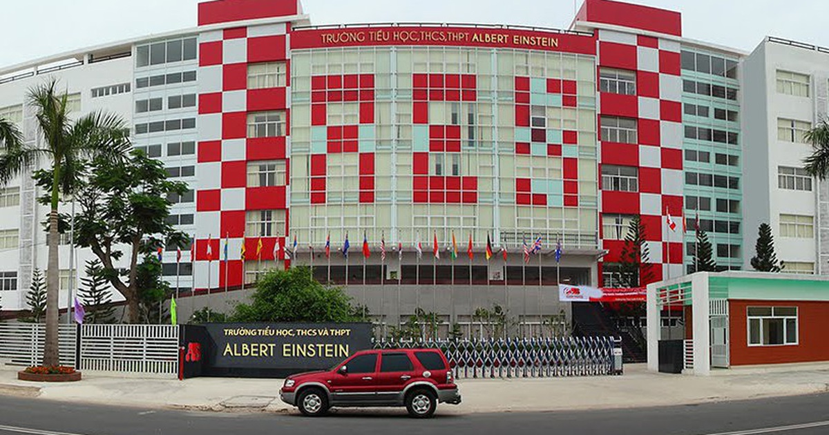 Trường tiểu học quốc tế nào tốt ở TPHCM? - Ảnh 6