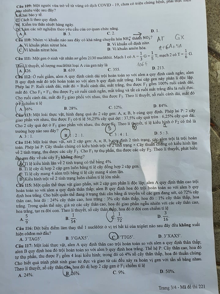 Đề thi và Đáp án môn Sinh Học thi tốt nghiệp đợt 2 năm 2020 - Ảnh 3