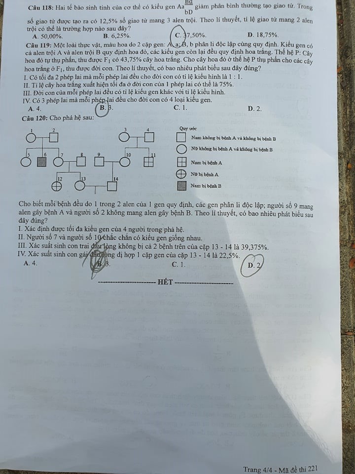 Đề thi và Đáp án môn Sinh Học thi tốt nghiệp đợt 2 năm 2020 - Ảnh 4