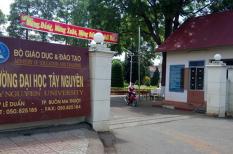 Điểm chuẩn Đại học Tây Nguyên, Khánh Hòa, Quy Nhơn năm 2020