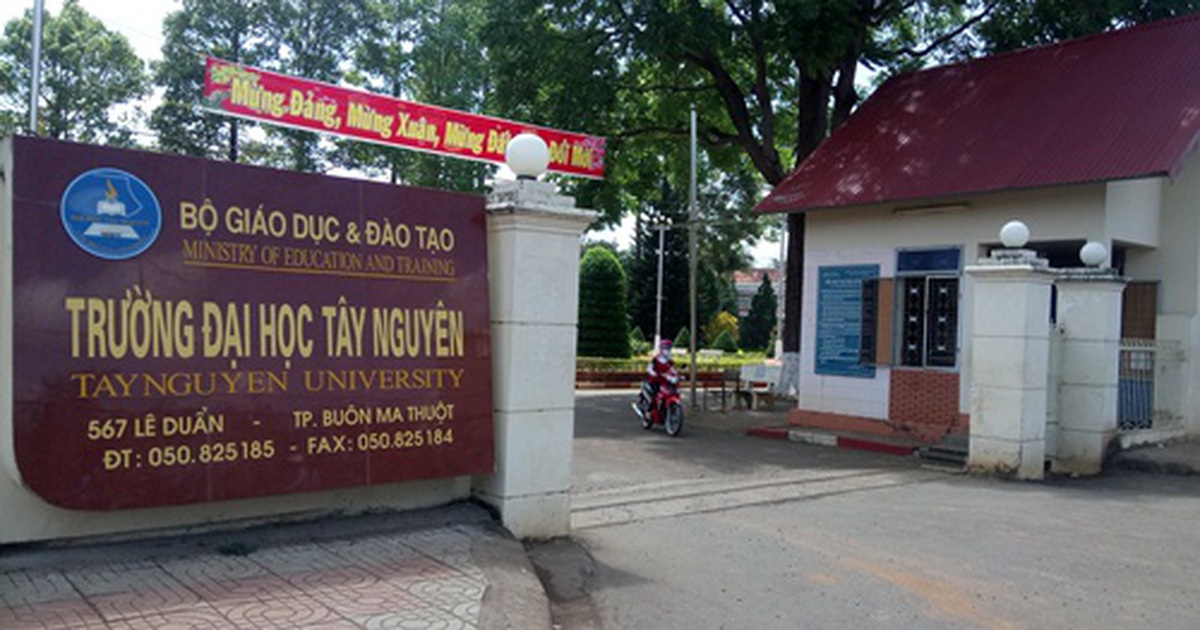 Điểm chuẩn Đại học Tây Nguyên, Khánh Hòa, Quy Nhơn năm 2020