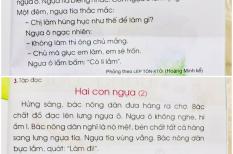 Quy trình chỉnh sửa sách giáo khoa Tiếng Việt lớp 1