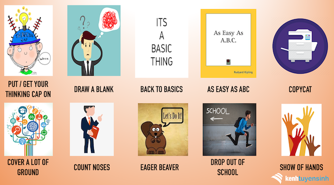 TOP 10 thành ngữ Tiếng Anh mới lạ về Học Đường - Ảnh 1