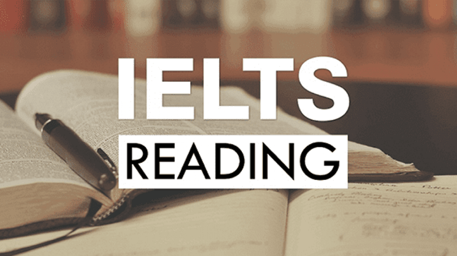 IELTS Reading: Phương pháp đọc Skimming và Scanning - Ảnh 1