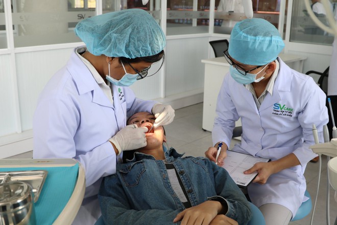 Nhân lực ngành y tế được ứng dụng trong lĩnh vực nào?