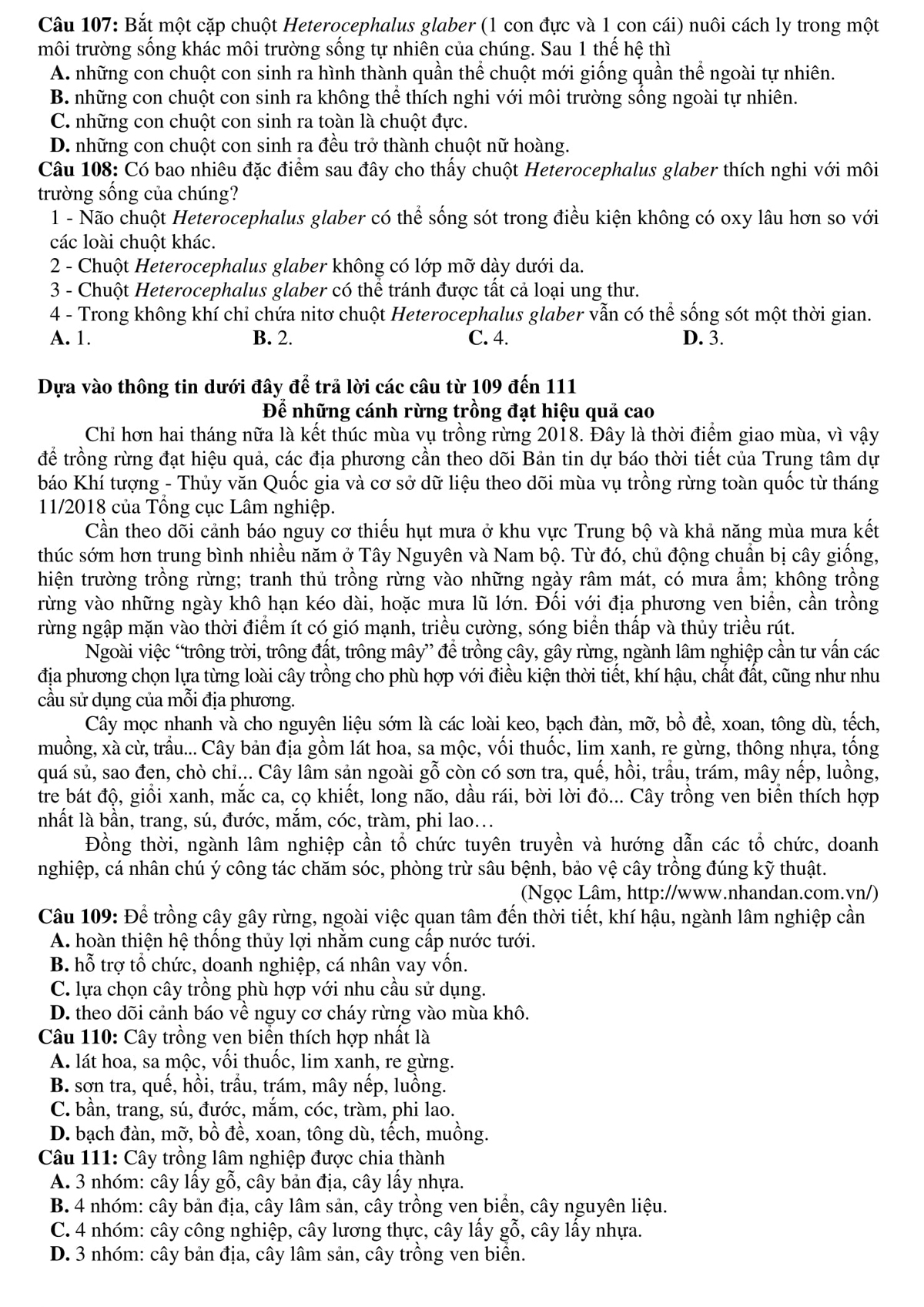 đề thi đánh giá năng lực