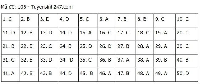 Gợi ý đáp án môn Toán thi tốt nghiệp THPT 2021 đầy đủ mã đề - Ảnh 6